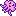 The Pink Squiddle