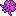 The Magenta Squiddle