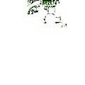 Thumbnail for version as of 02:30, 7 October 2025