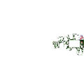 Thumbnail for version as of 02:30, 7 October 2025