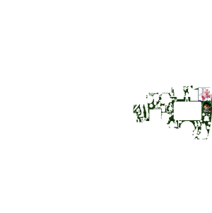 GL C38.png