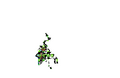Thumbnail for version as of 02:30, 7 October 2025