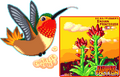 Thumbnail for version as of 22:46, 30 May 2025