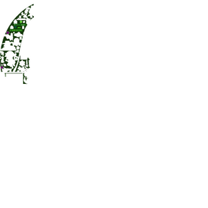GL C21.png