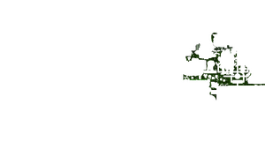 GL C49.png