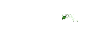 GL C31.png