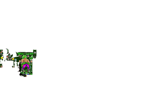 GL C41.png