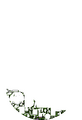 Thumbnail for version as of 02:30, 7 October 2025