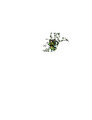 Thumbnail for version as of 02:28, 7 October 2025