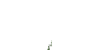 GL C51.png
