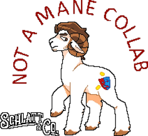 Schlatt&Co. C67.webp
