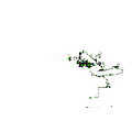 Thumbnail for version as of 02:30, 7 October 2025
