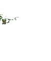 Thumbnail for version as of 02:30, 7 October 2025