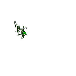 GL C40.png