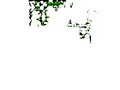 Thumbnail for version as of 02:30, 7 October 2025
