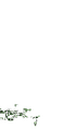 Thumbnail for version as of 02:30, 7 October 2025