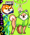 Two Shiba Inus, one in a frog rain jacket.