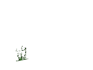 GL C30.png