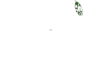GL C32.png