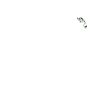 GL C35.png