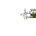 Thumbnail for version as of 02:30, 7 October 2025