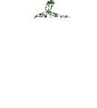 Thumbnail for version as of 02:30, 7 October 2025