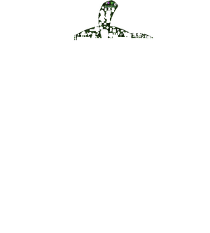 GL C62.png