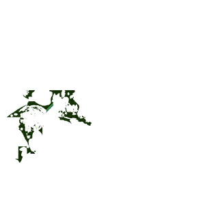 GL C50.png