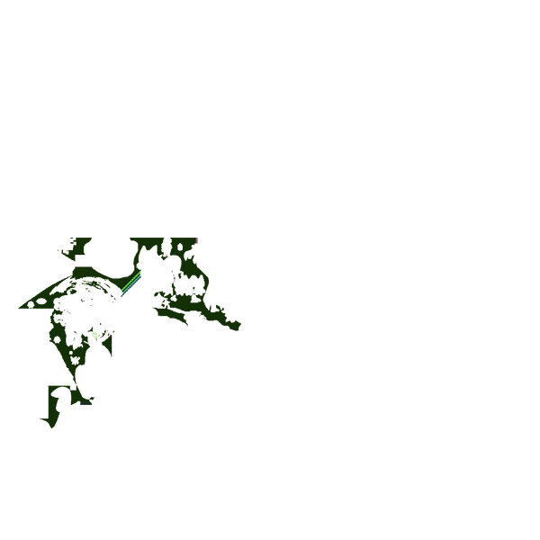 File:GL C50.png