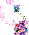 Thumbnail for version as of 06:19, 7 September 2025