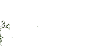 GL C55.png
