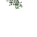 Thumbnail for version as of 02:30, 7 October 2025