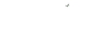 GL C29.png