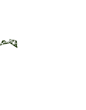 GL C54.png