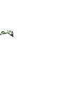 Thumbnail for version as of 02:30, 7 October 2025