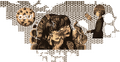 Thumbnail for version as of 07:25, 5 October 2025