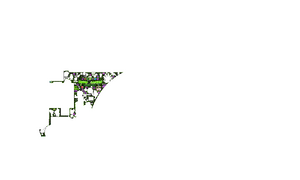GL C58.png